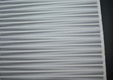 Çin Küçük Döngü Polyester Spiral Mesh, Kağıt Üretimi İçin Konveyör Bantlı Mesh Tedarikçi